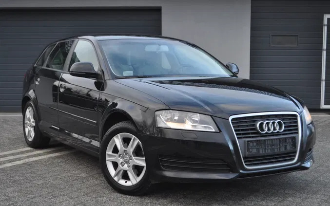 Audi A3 cena 24499 przebieg: 220000, rok produkcji 2008 z Legnica małe 781